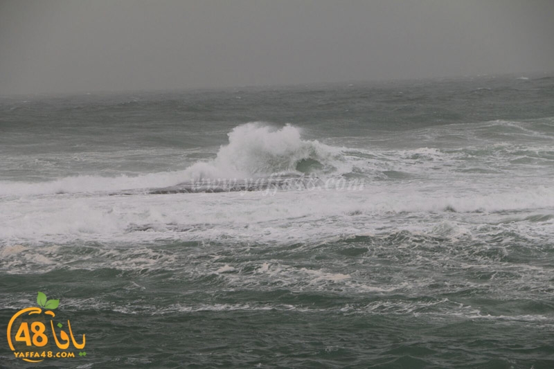 yaffa weahtera (14).jpg